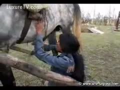 An elderly Indian woman performing amazing oral sex on her horse